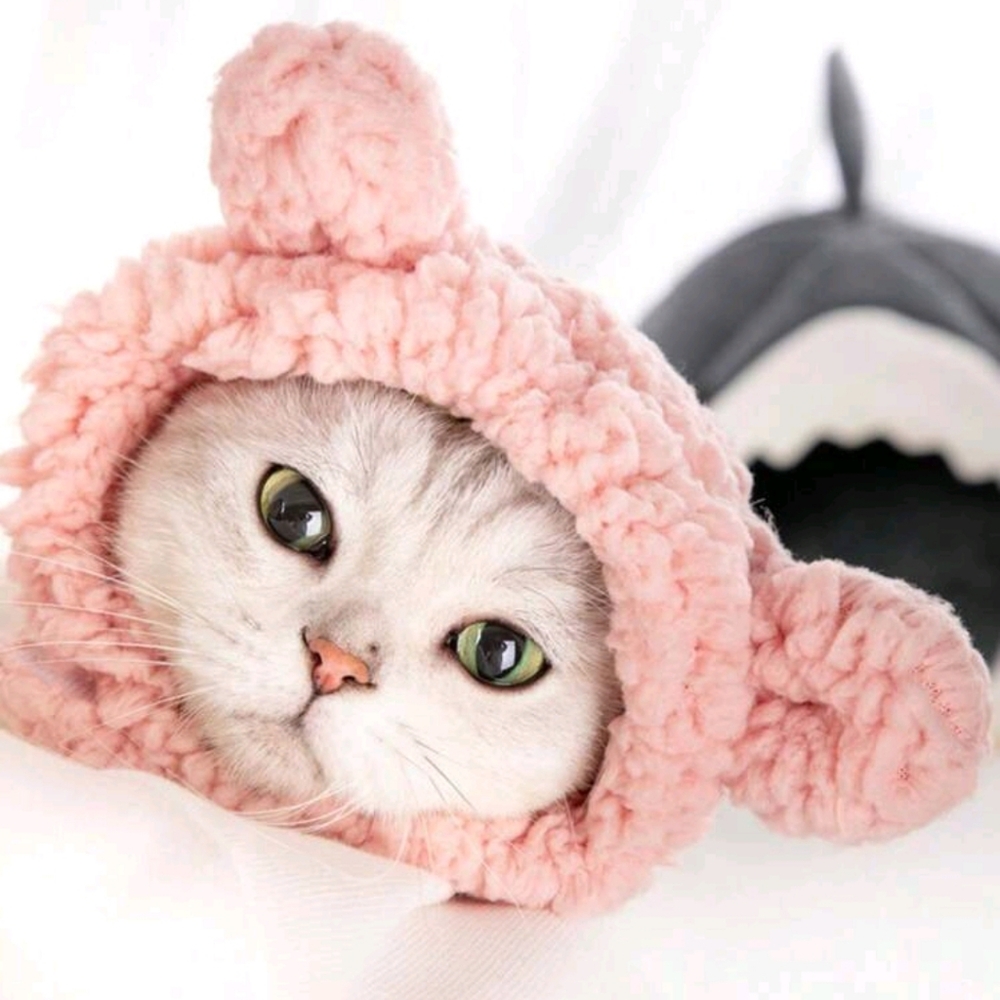 Pink panda hoodie for cat